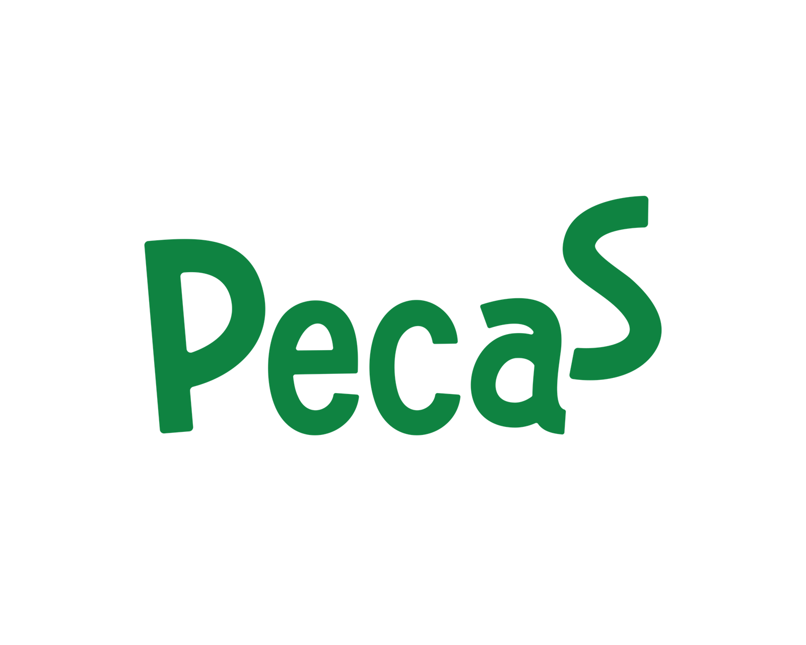 Pecas- Comida Barf